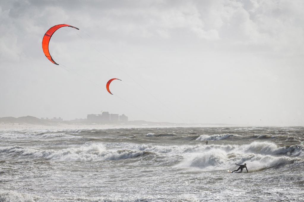 TEN Pinna v2 wave