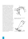 Kitesurf Handboek