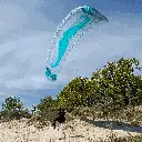 Flare moustache2 26.webp