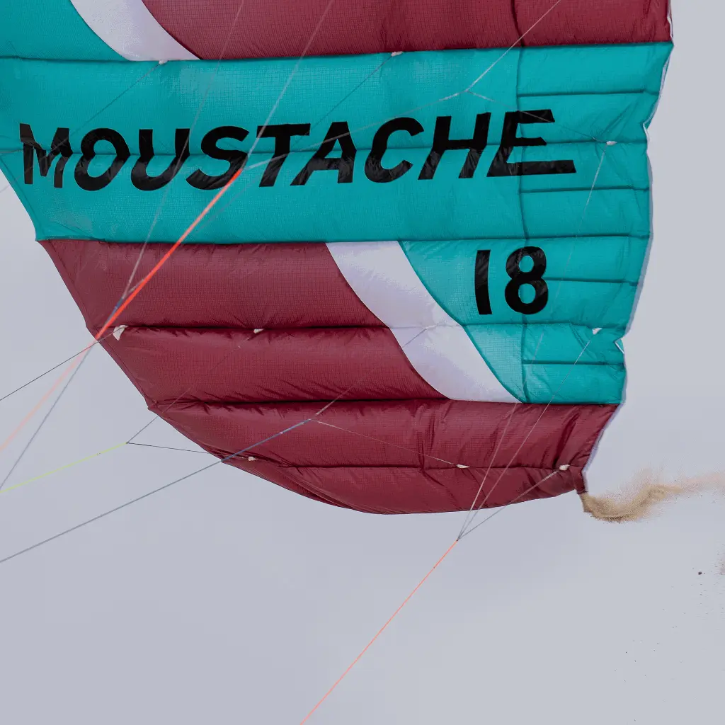 Flare moustache course.webp