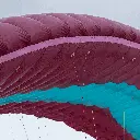 Flare moustache sharknose.webp