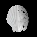 6.-SURF-BOB-BUMP-SHELL.webp